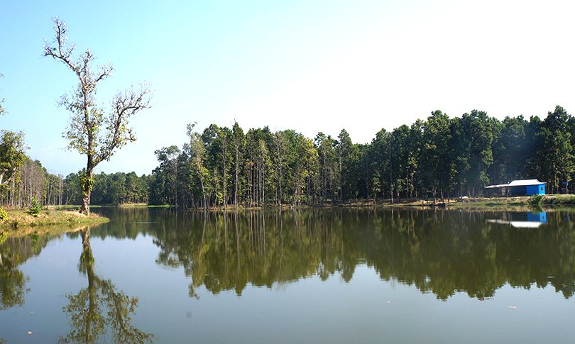 रास तालमा पर्यटकको आकर्षण तीव्र, स्थानीय अर्थतन्त्रमा उल्लेख्य योगदान